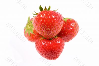  Four isolated juicy strawberries