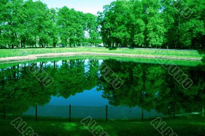 pound in park