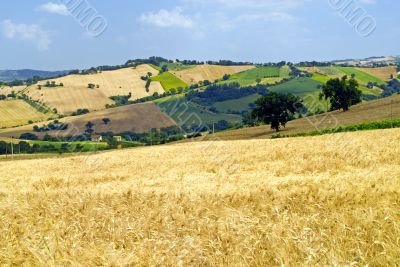 Marche - Landscape