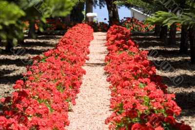 bahai gardens north of Israel