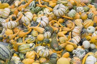 pumpkins