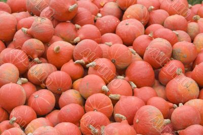 pumpkins