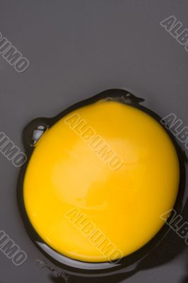 egg yolk