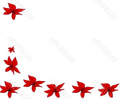 Tropical Flowers Background