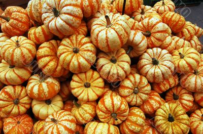 Pumpkin