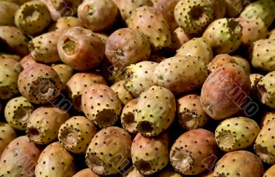 Cactus fruit