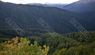 mountain landscape