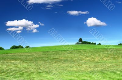 mowed lawn