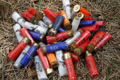 Empty plastic shotgun shells