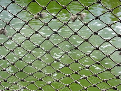 Rope Net