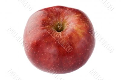 Red delicious apple view from above