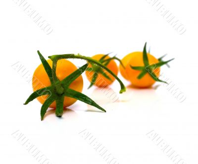 yellow tomatoes