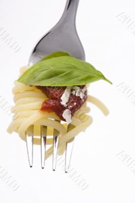 spaghetti