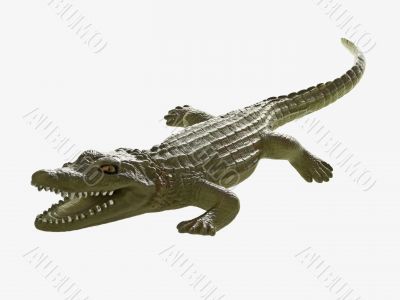 Toy crocodil