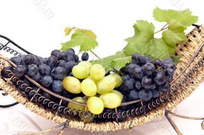 Bunches of grapes  in basket.