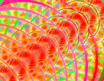 fractal spine