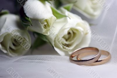 Wedding rings