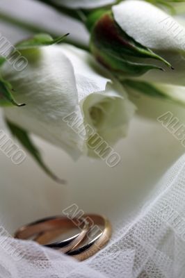 Wedding rings