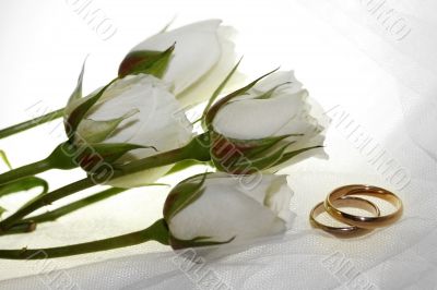 Wedding rings