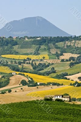 Marche - Landscape near Cingoli