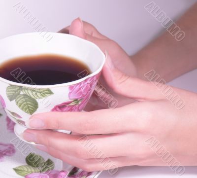 Female hands hold a coffee cup