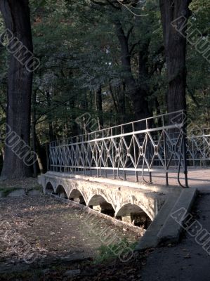 The Bridge In The Park