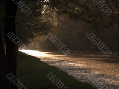 Autumn