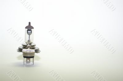 the bulb