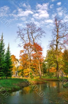 Autumn in the park