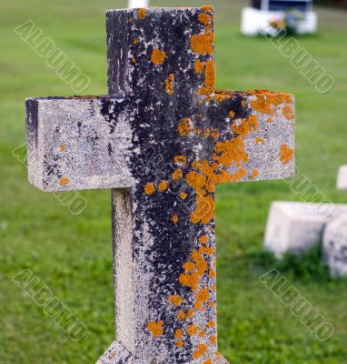 Mossy Tombstone