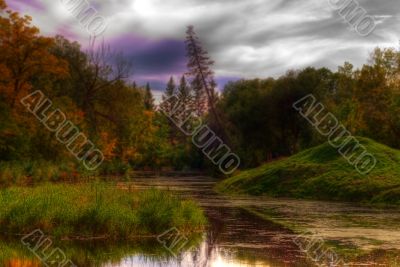 Swamp