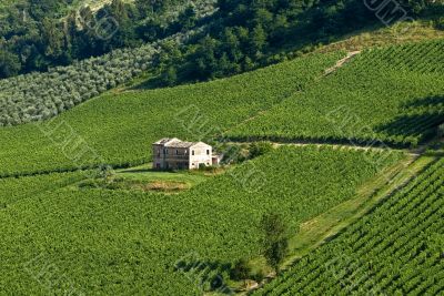 Farmhouse in Italy, near Ancona