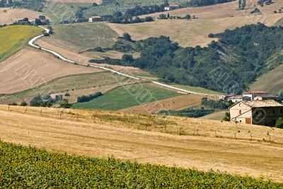Marche - Landscape near Cingoli
