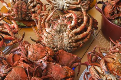 Many plates of seafood