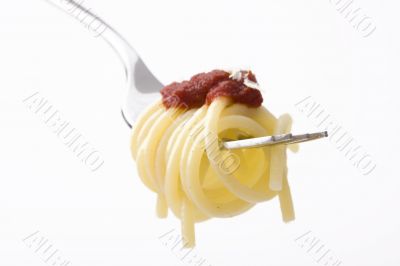 spaghetti