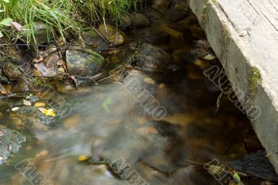 Flowing Creek