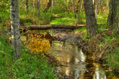 Creek