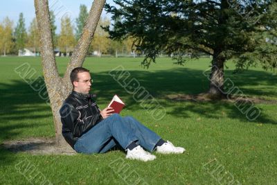 Man Reading By A Tree
