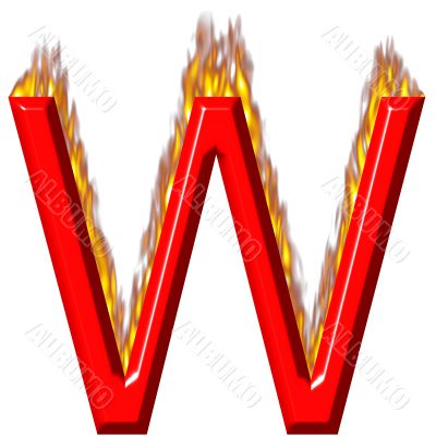 3D Letter W on Fire