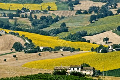 Marche - Landscape near Cingoli