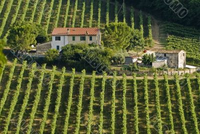 Farm in Italy