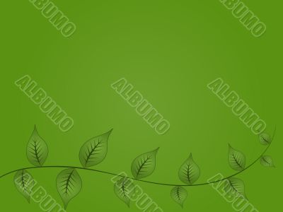 Green Vine Background