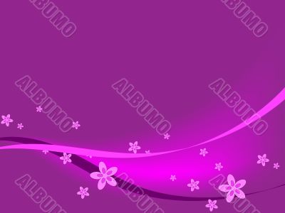 Purple Flowers & Ribbons