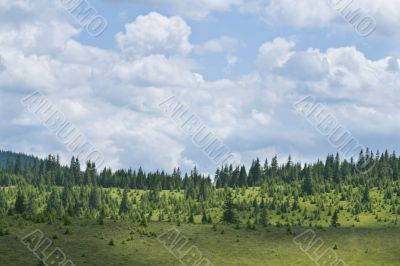Summer mountain landscape