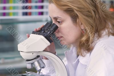 Looking through a microscope
