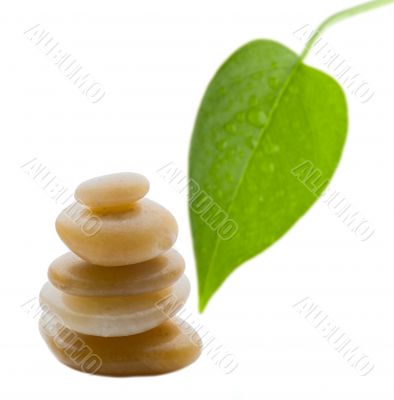 Rocks in balance with blurred leaf