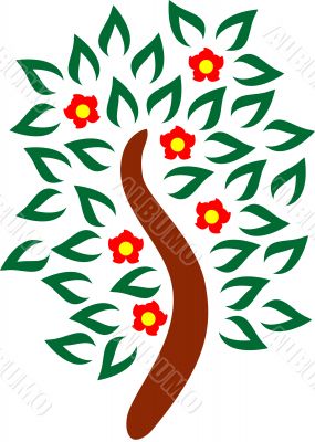 Blossomed tree