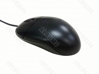 The black PC mouse with white background