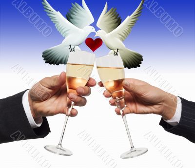 Shapaign and two pigeons