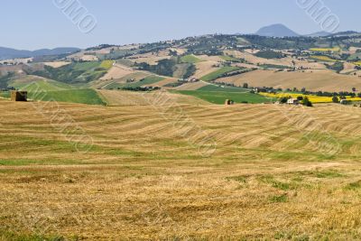 Marche - Landscape at summer